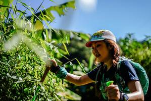 BIB: 
                            <button type="button" onclick="openModal(19315950)" class="btn btn-primary btn-sm float-right btn-popup" data-toggle="modal" data-target=".modal-high-quality">
                        <i class="fas fa-shopping-cart"></i> Add to Cart
                    </button>
                                            <button type="button" onclick="isThisMe(19315950, true)" class="btn btn-success btn-sm float-right btn-popup btn-isme hidden" data-toggle="tooltip" data-placement="bottom" title="นี่คือรูปของคุณใช่ไหม คลิกที่นี่เพื่อเอาเข้าอัลบั้ม">
                        <i class="fas fa-plus"></i> Add to album
                    </button>
                    <button type="button" onclick="isThisMe(19315950, false)" class="btn btn-warning btn-sm float-right btn-popup btn-isnotme hidden">
                        <i class="fas fa-ban"></i> Remove from album
                    </button>